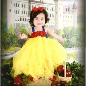 Beautiful Snow White Tutu Dress Costume with Red Hair Bow